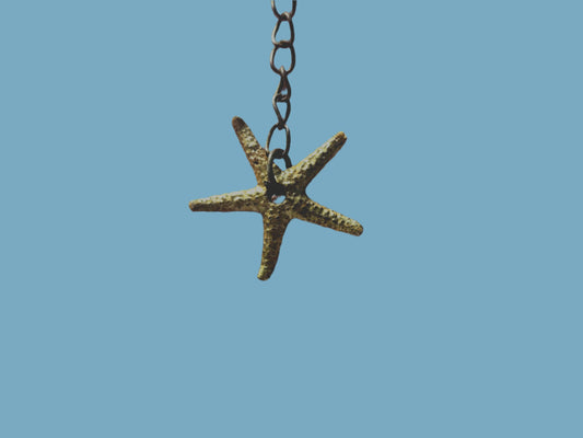 Starfish Earrings