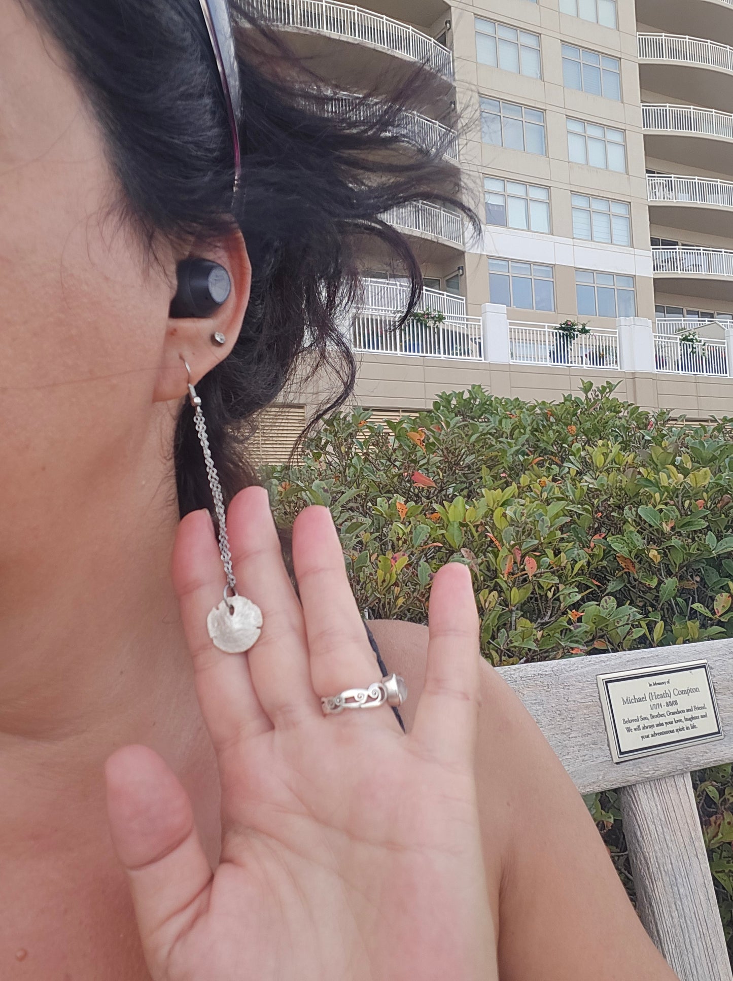 Real Sand Dollar Dangling Earrings