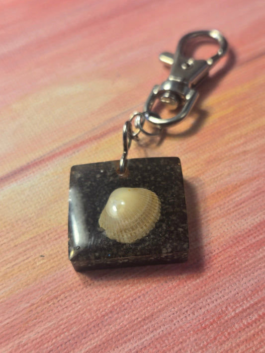 Sea shell Key CHain in black sand